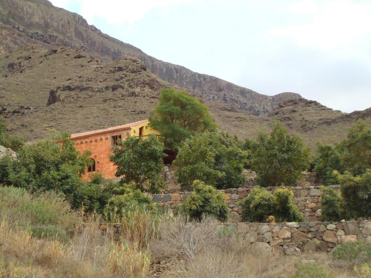 Finca Los Dioses I Mogan Luaran gambar